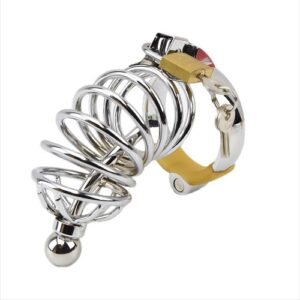 Impound silver metal spiral male chastity device with lock and attached plug